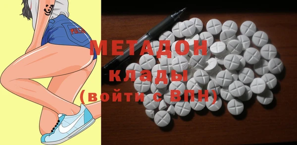 прущие грибы Сясьстрой